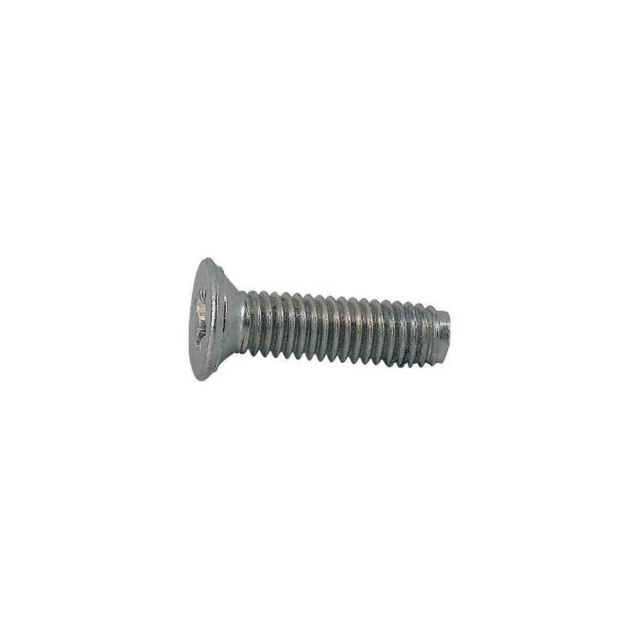 Verzonken kopschroeven M4x16 torx zelftap VVE=50