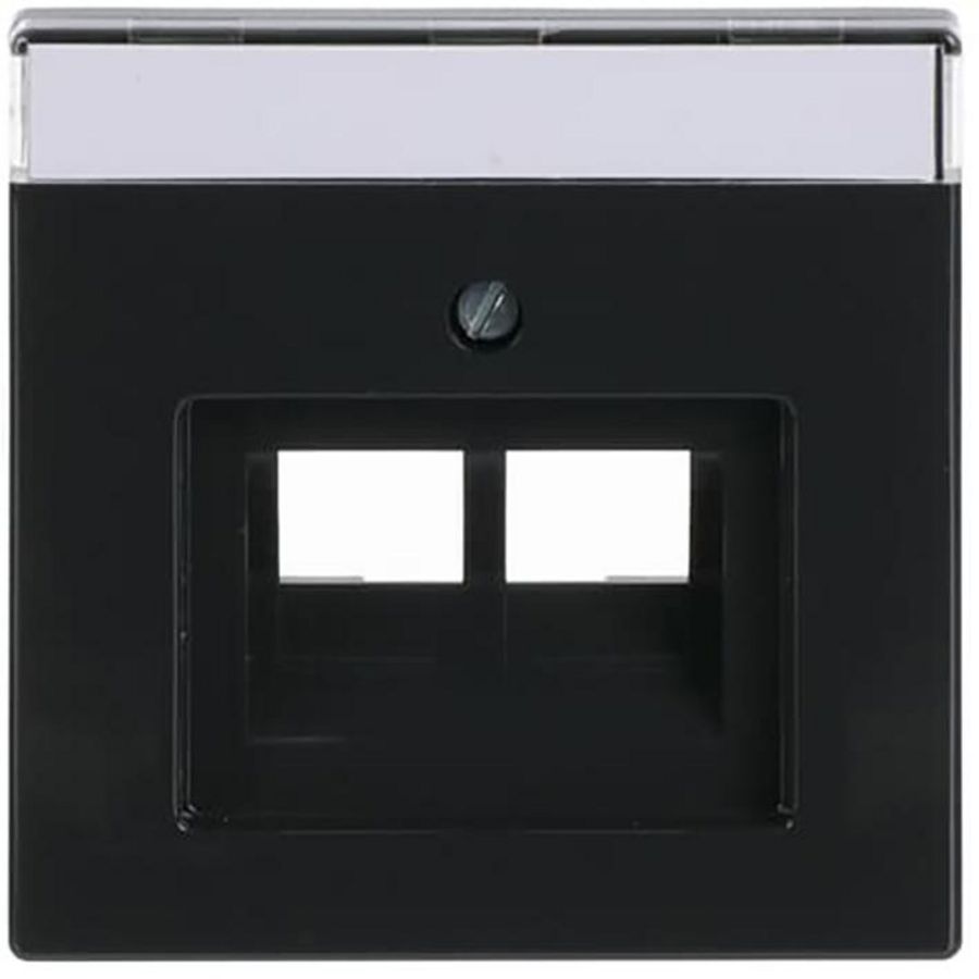 Centraalplaat afd v datadoos 2 x RJ45 f-antraciet (1803-02-81)