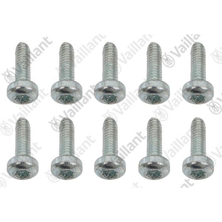 Set a 10st. Schroef 0020211098