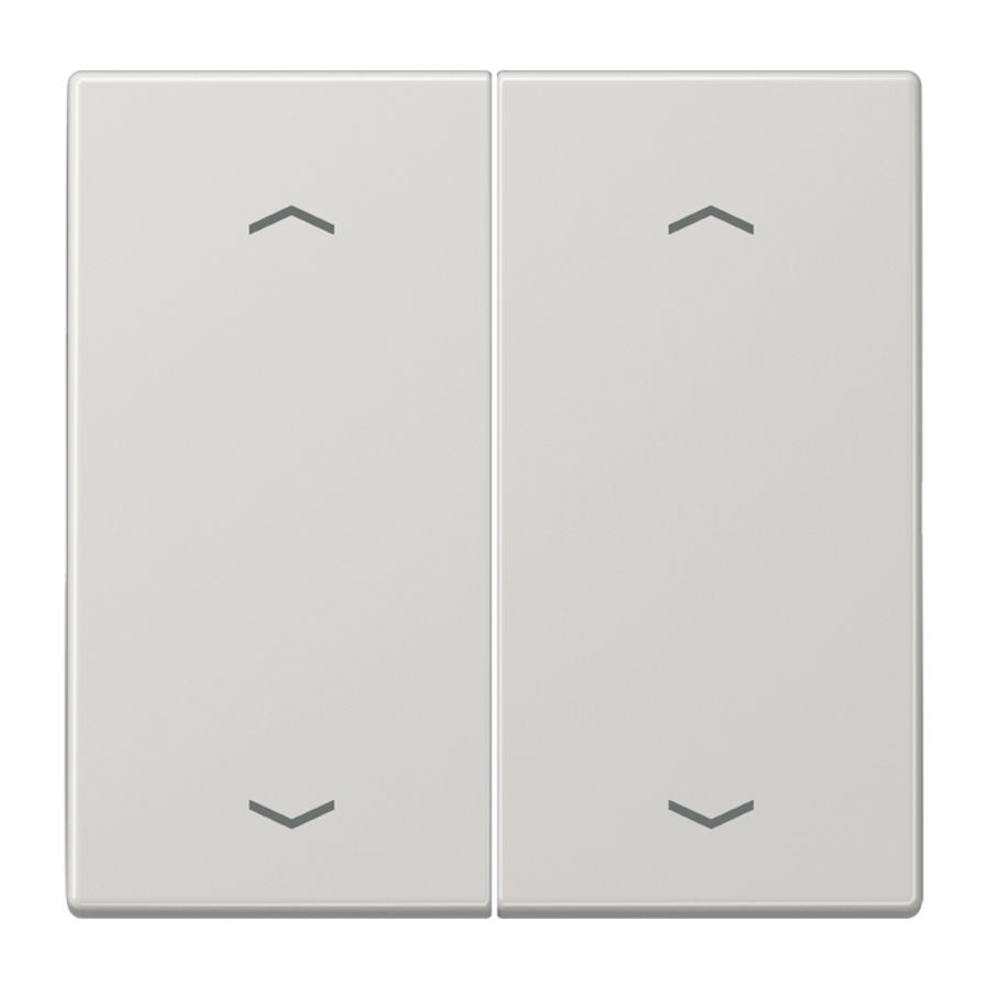 Wip LS990 lichtgrijs pijl v.KNX F10 taster 2voudig