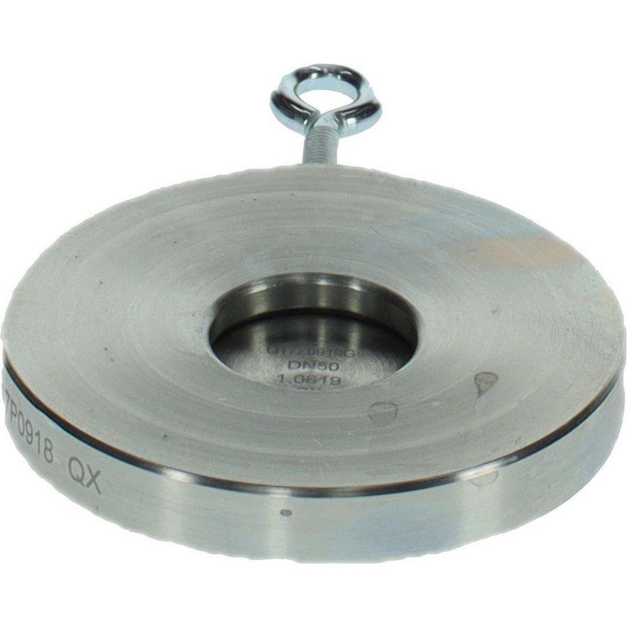 Terugslagklep DN50 PN6 GB312