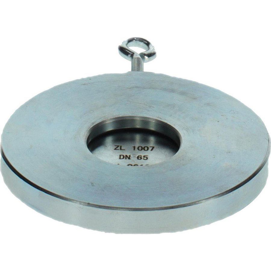 Terugslagklep DN65 PN6 GB312