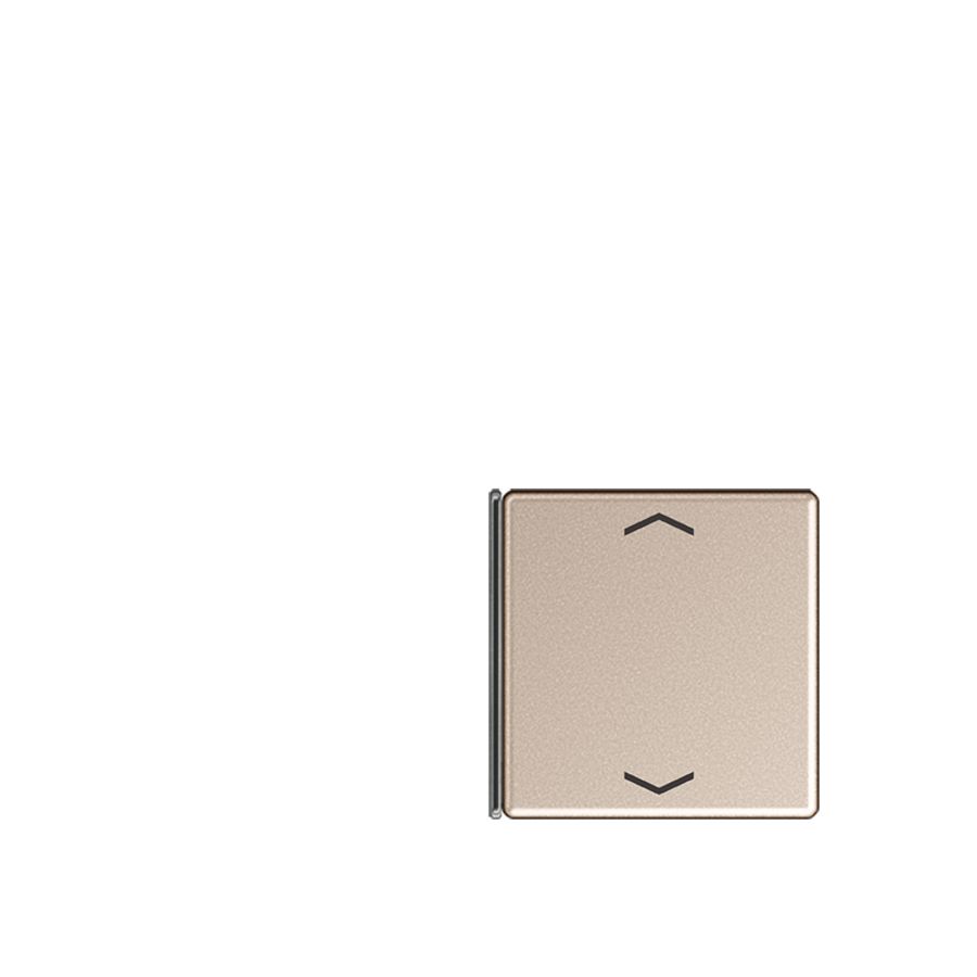 Tastafdekking lb/ro pijl A500 champagne KNX