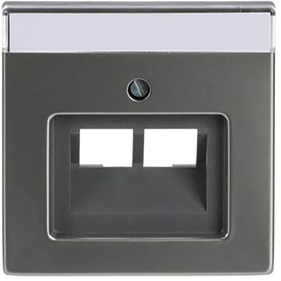Centraalplaat afd v datadoos 2 x RJ45 pure-rvs (1803-02-866)
