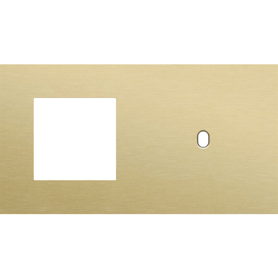 Afdekplaat 2-voud horiz. 71mm centerafst. 227-57806