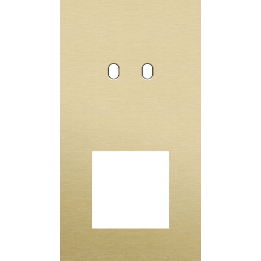 Afdekplaat 2-voud vertic. 71mm centerafst 227-57856