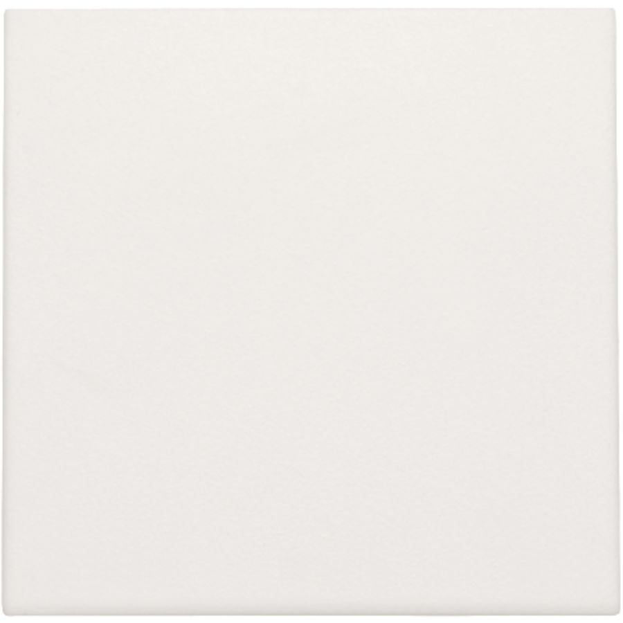 Spuitwaterdichte blindplaat white