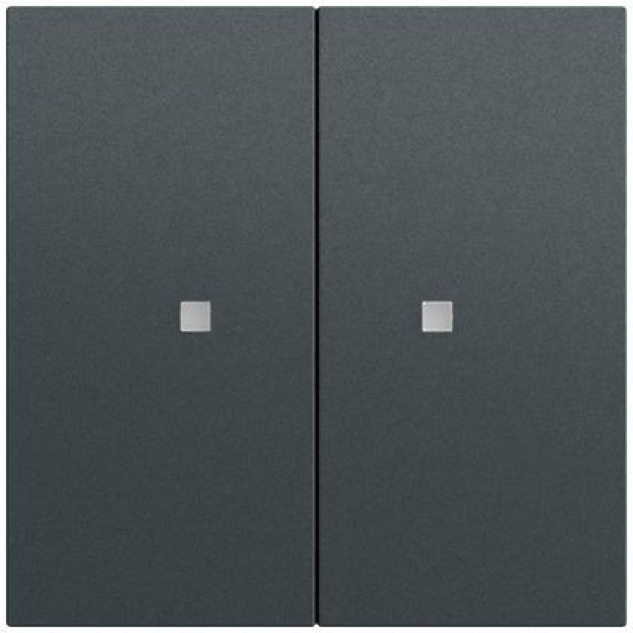 Drukc. wip 2-v OneKNX System 70 antracit(gel.)