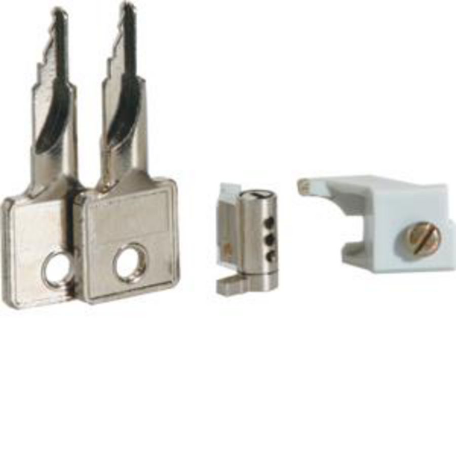 Cilinderslot Vector met 2 sleutels