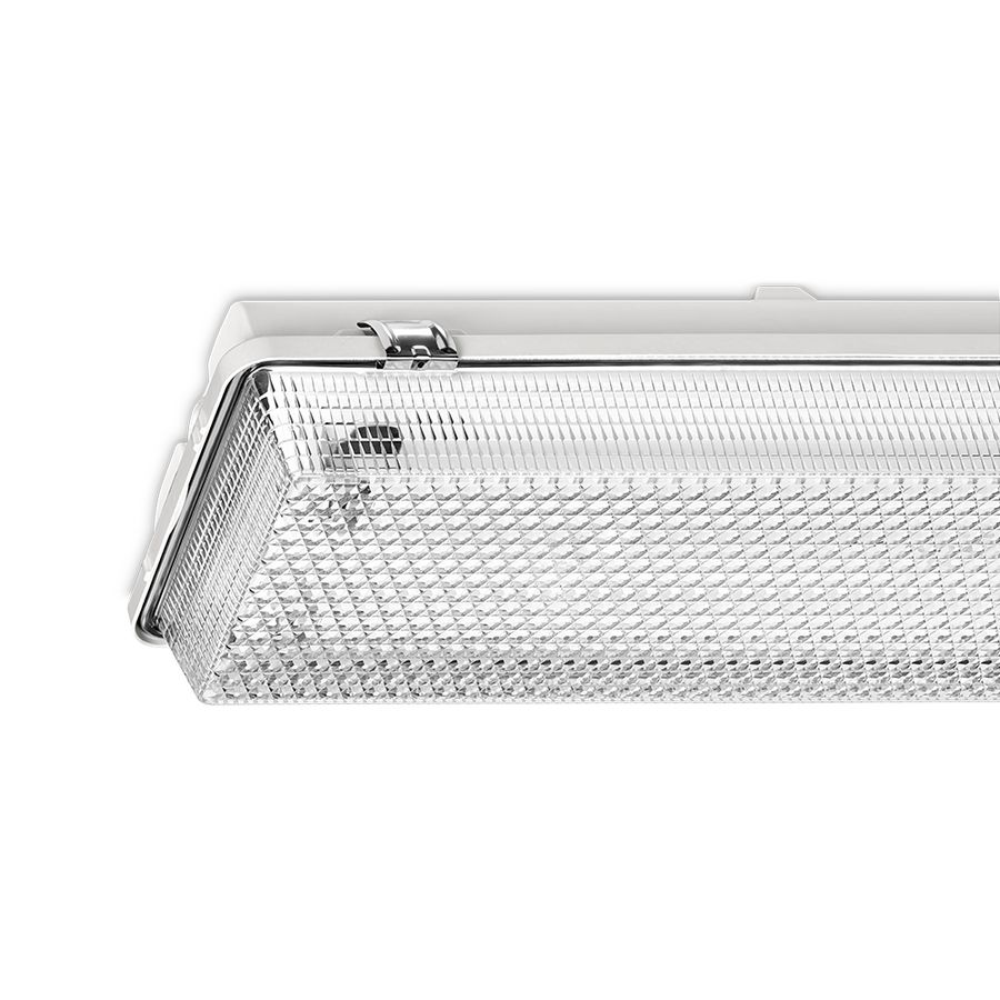 AZR-SV 2/36W HF RVS-OVL