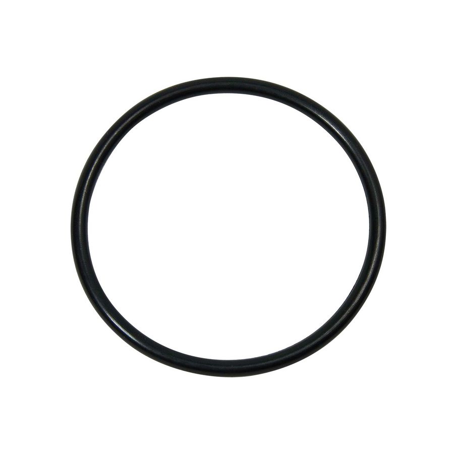 O-ring 0020123968