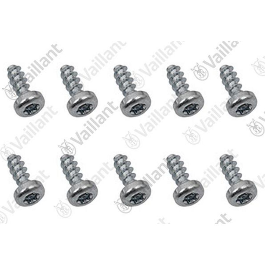 Set a 10st. Schroef 0020213163