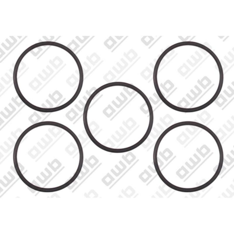 O-ring pomp sanitair TE6 0020125437