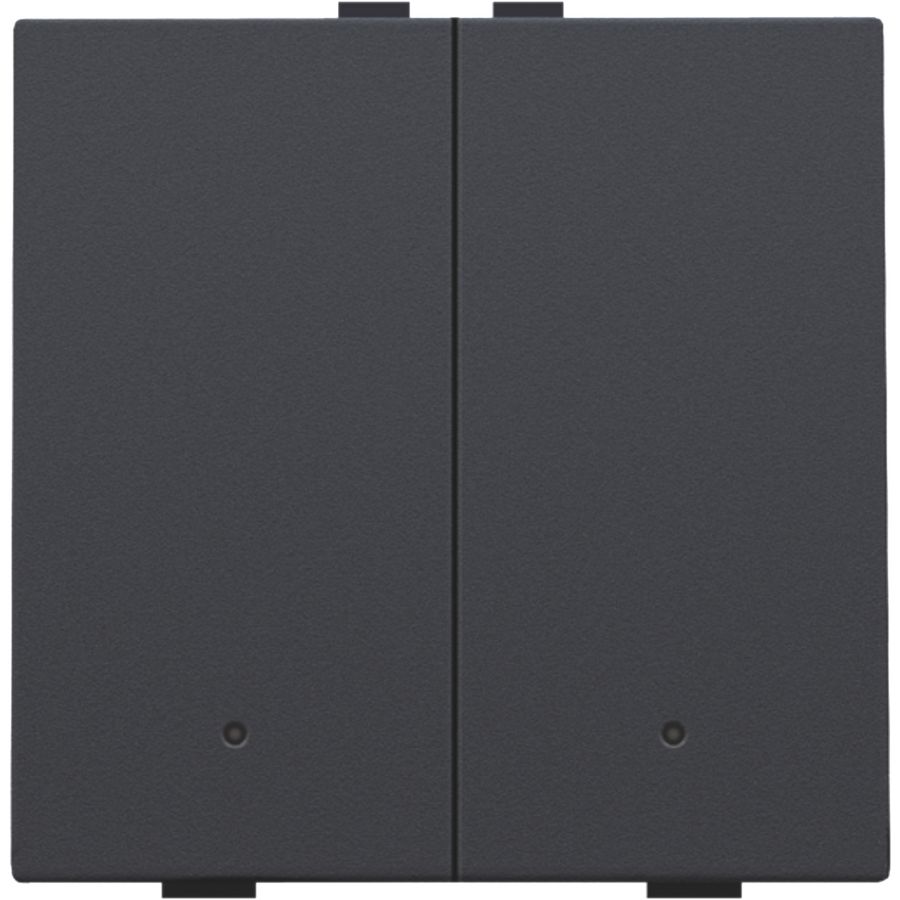 2-voudige drukknop led Home Control anthracite