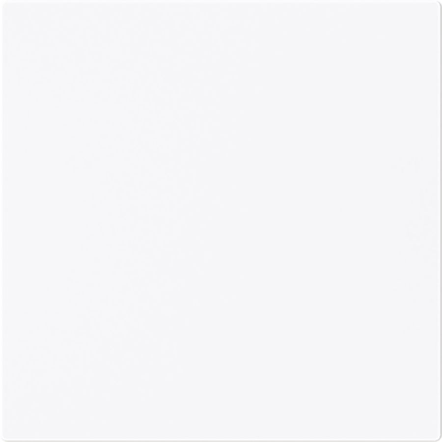 Centraalplaat kd voor 50 x 50 Centraalplaat art-wit (1746-44G)