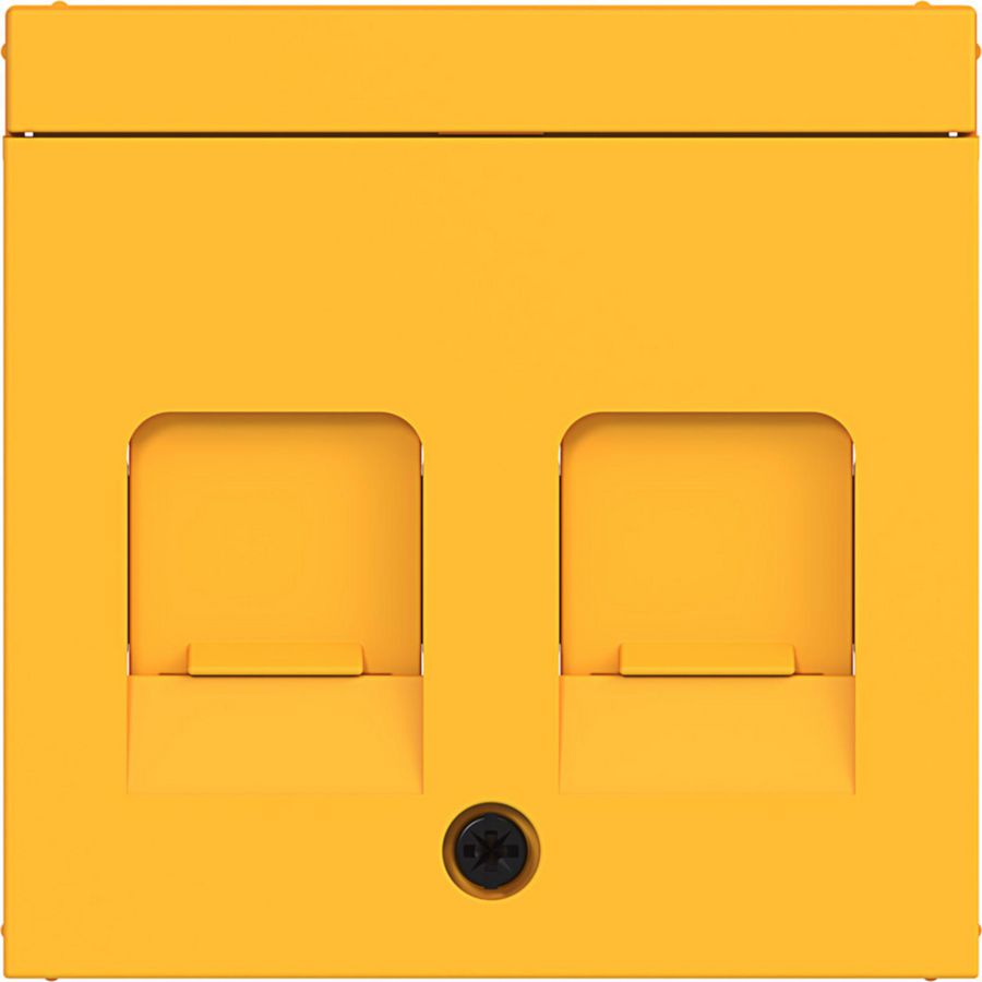 Centraalplaat KeyStone 2-v stofbescherming tekstv. A.x/C.x saffron m