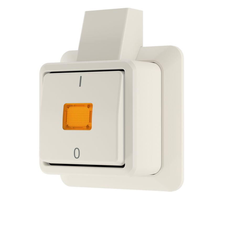 AP600 wipcontroleschakelaar 2p + montageplaat wit VVE=10