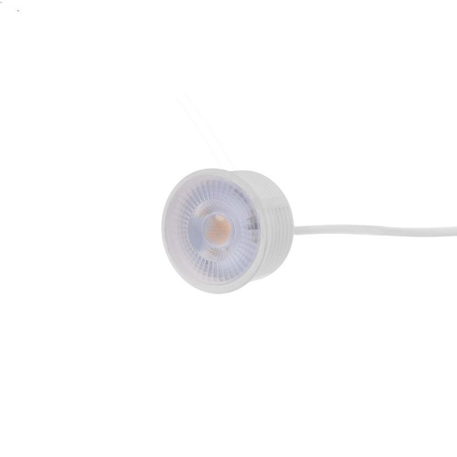 LED spot 50mm wit 5W 38° 2700K dimbaar wit