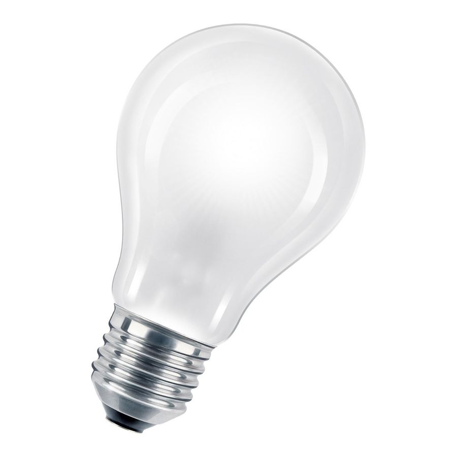 Hoogvolt halogeenlamp ECO GLS A55 E27 240V 42W mat VVE=10