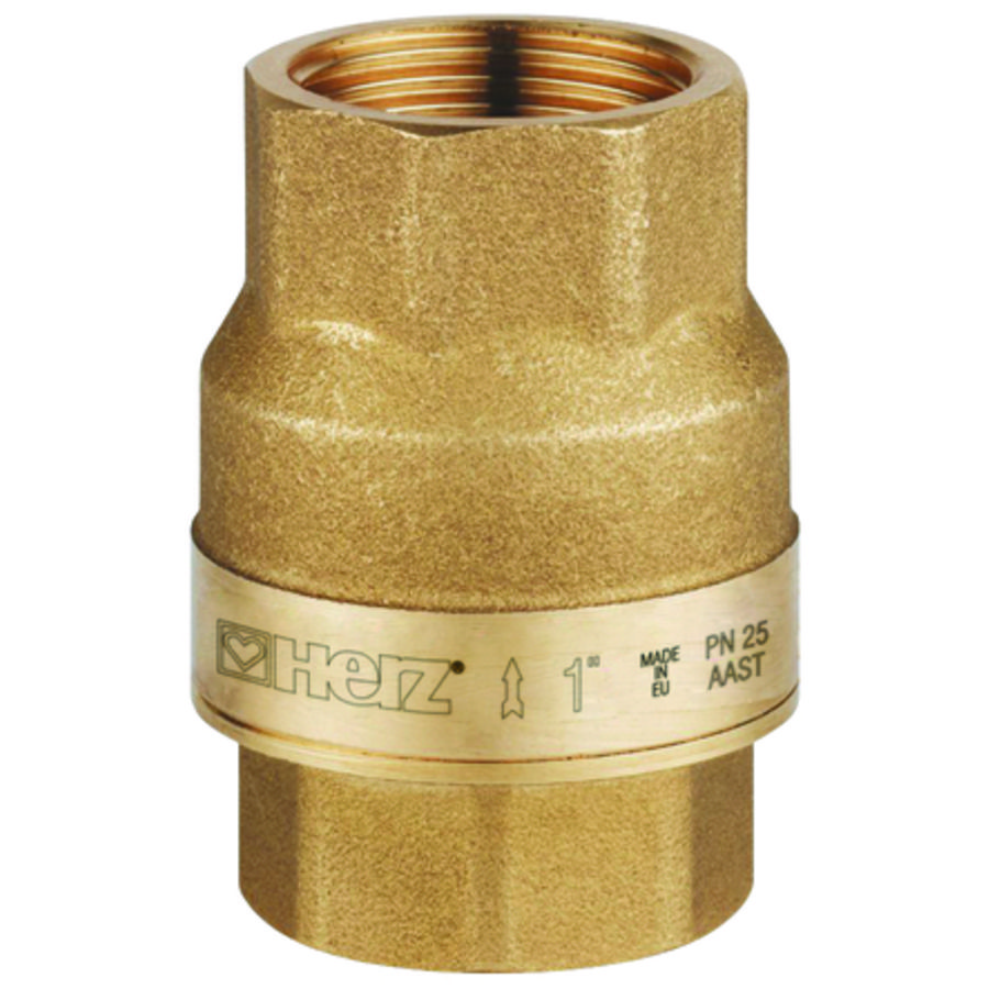 Terugslagventiel DN50 PN25