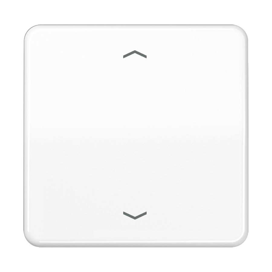 Wip alp.w.m pijl v.KNX F10 tast 1voudig CD500