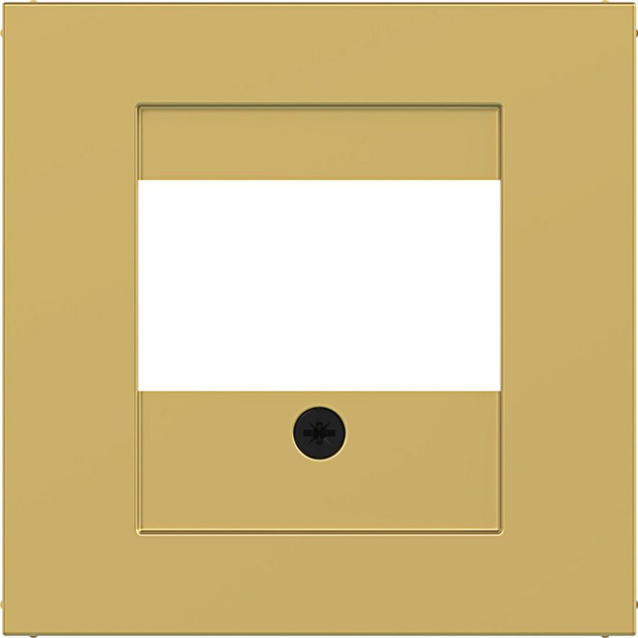 Centraalplaat TAE luidspreker USB A.x/C.x gold metalic