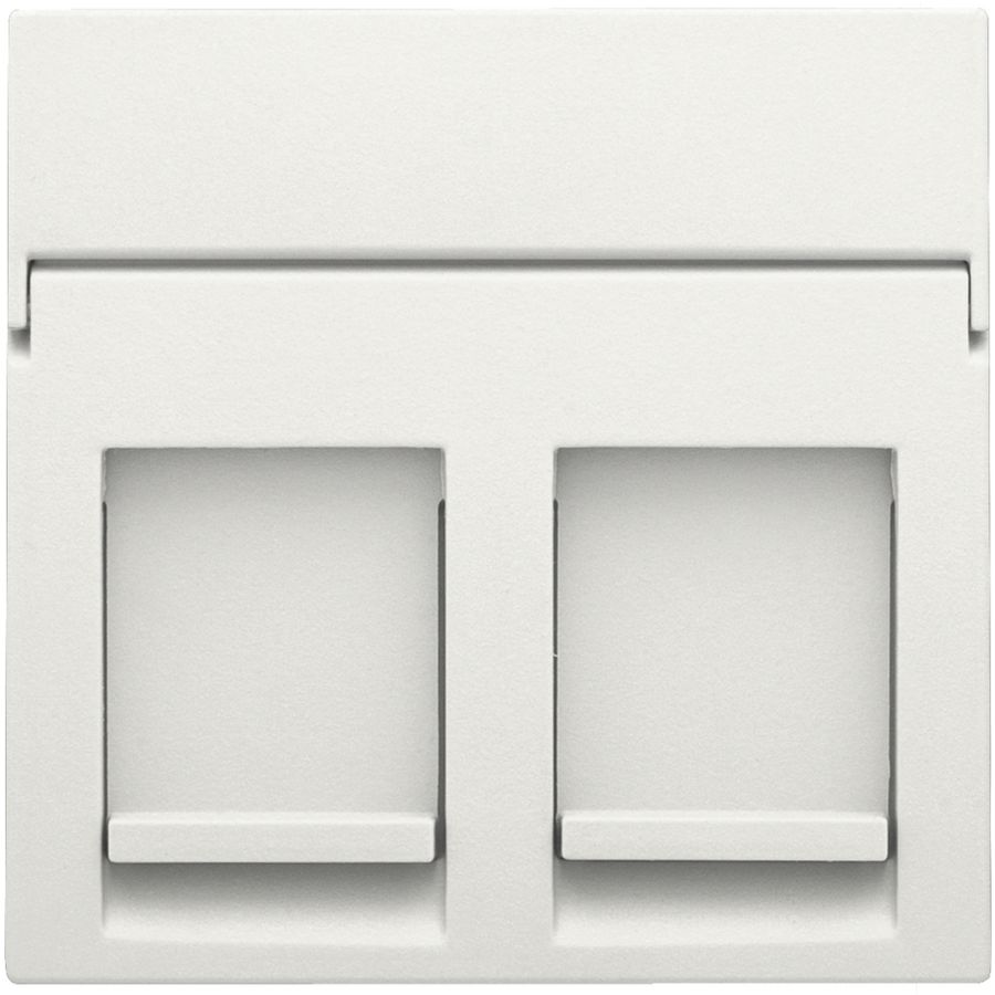 Centraalplaat data 2x RJ white