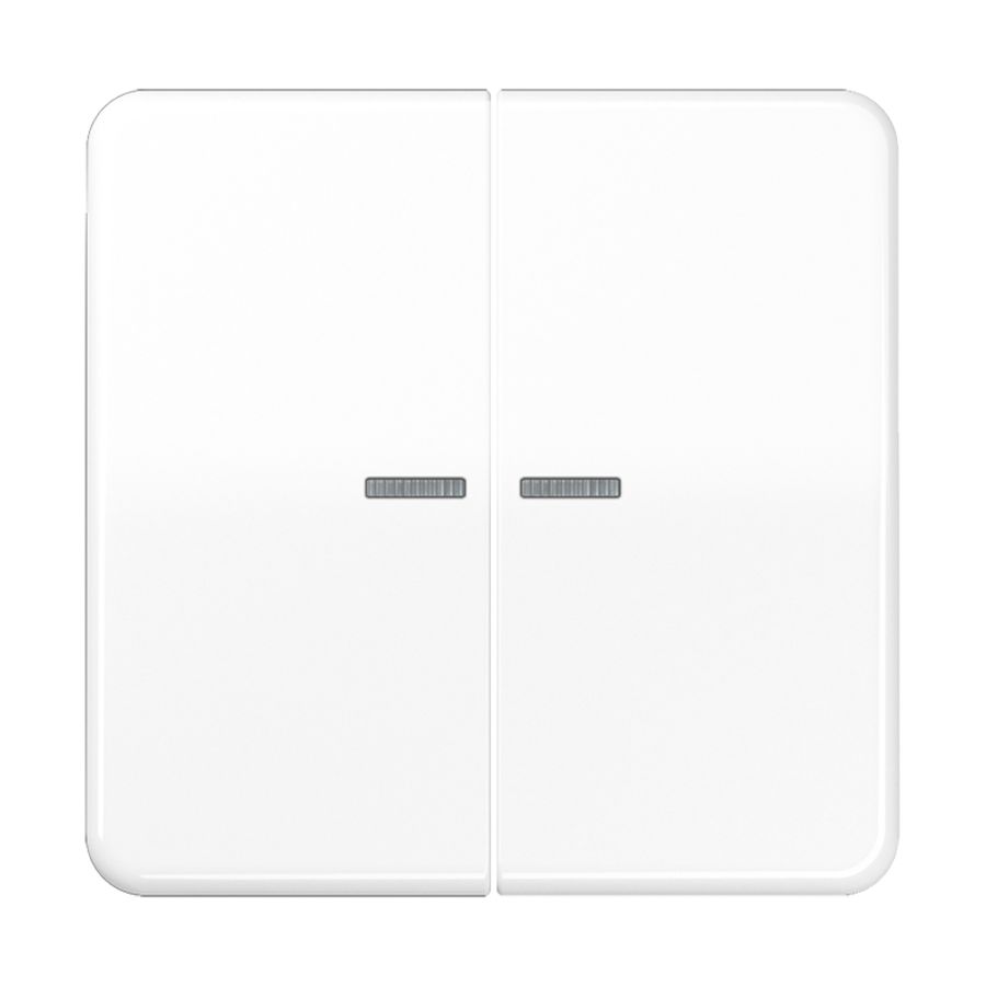 Tastafdekking 2voudig CD500 alpinwit KNX RF