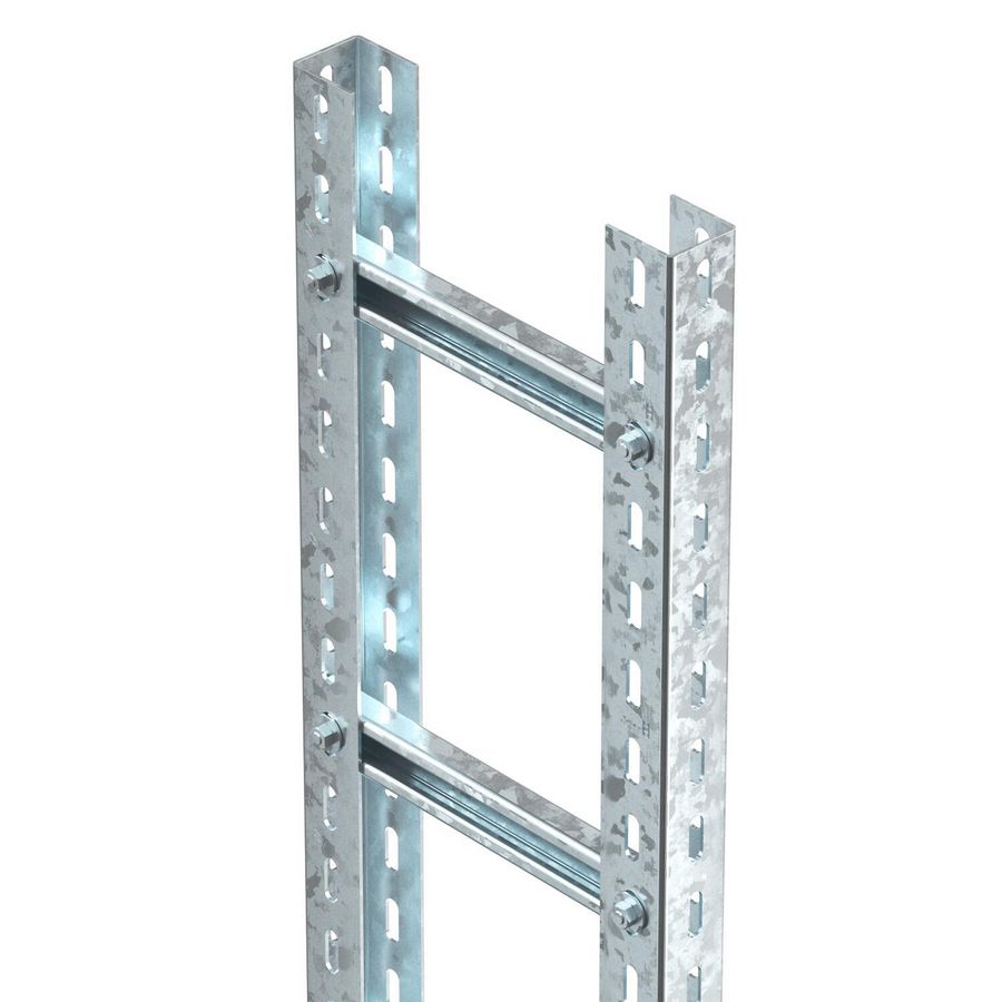 Lengte a 3m. Verticale ladder sportenafstand 300mm 300mm