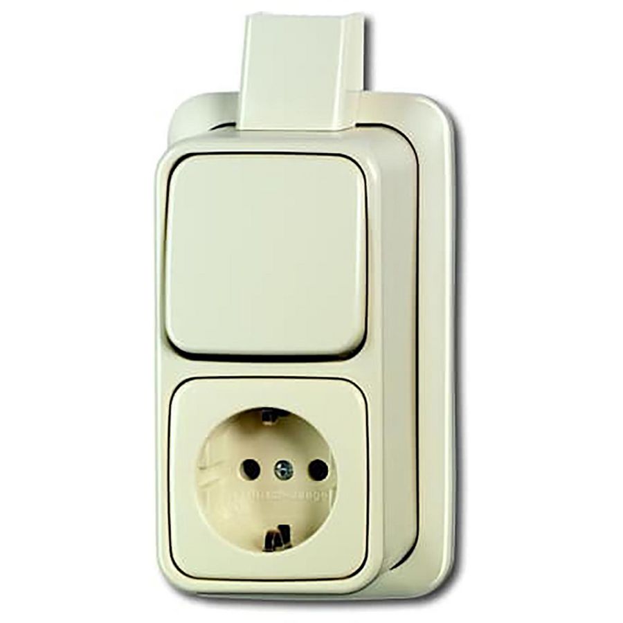 Combi schakelaar ra wis plaat opb 2609/2 APJ-COMB AP creme (2601/6/2300 EAPJ)