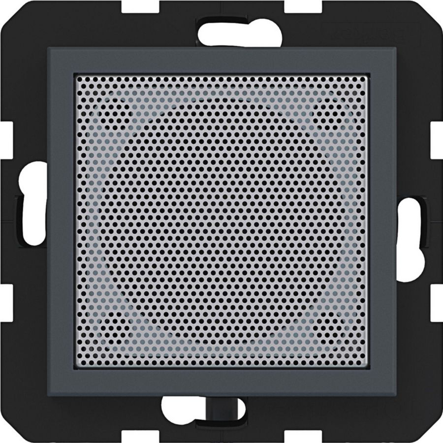 Luidspreker voor radio touch A.x/C.x antraciet