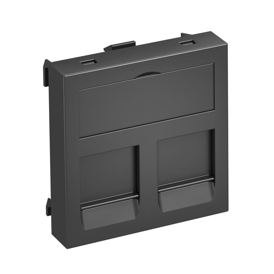 Data techniek drager 2 aansluitingen type A 45x45mm 6119204