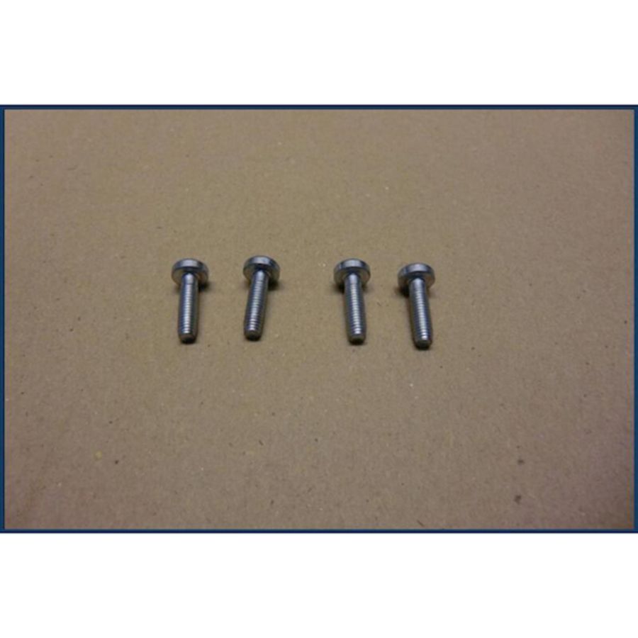 Schroef zelftapper 8718600754
