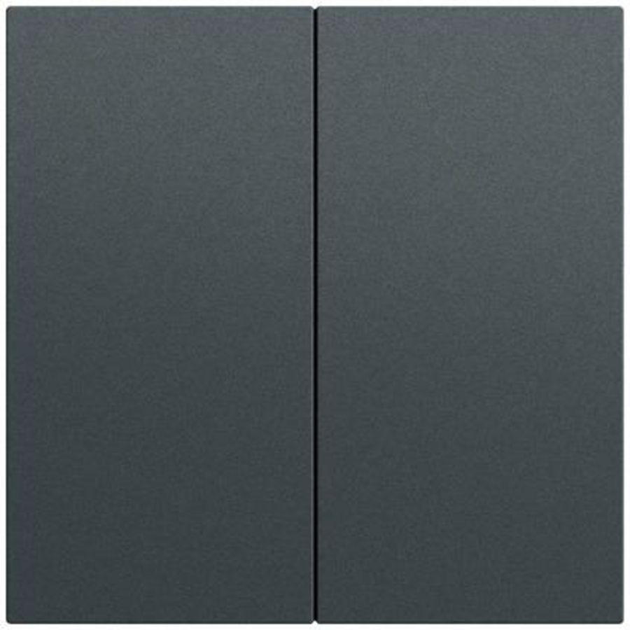 S3000 bedieningselement-opzetstuk 2-voudig System 70 antracit(gel.)