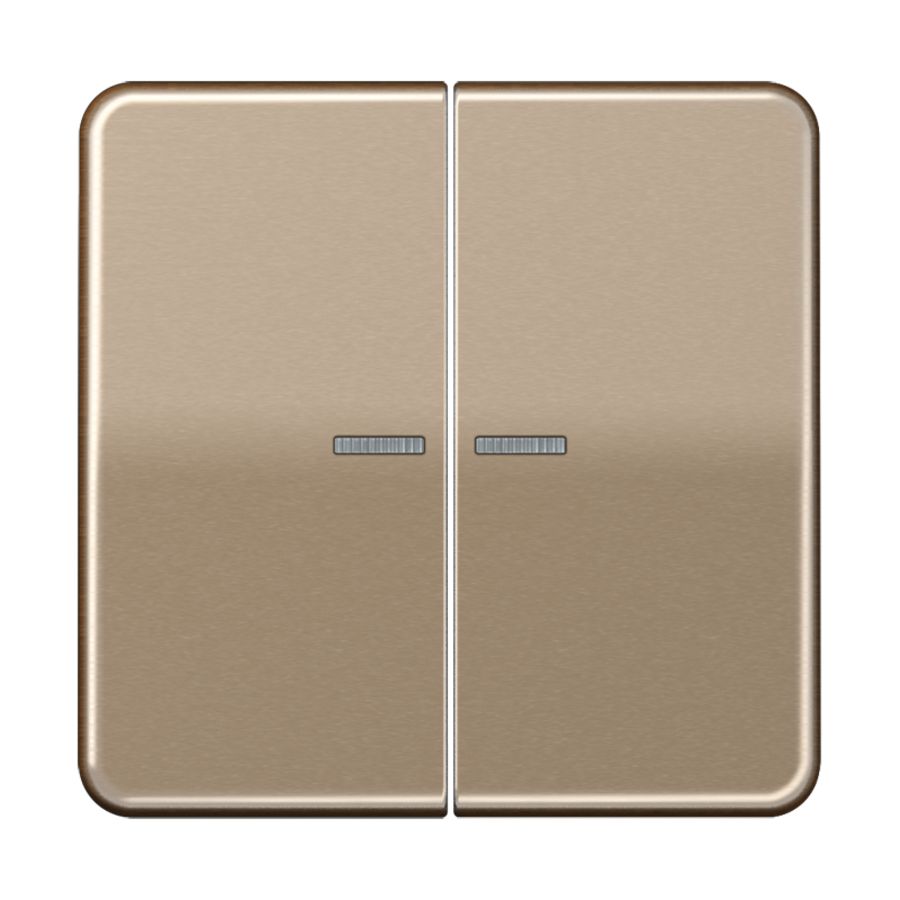 Tastafdekking 2voudig CD500 goudbrons KNX RF