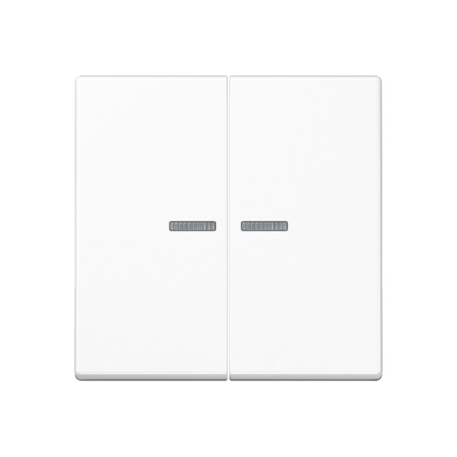 Tastafdekking 2voudig A500 alpinwit KNX RF
