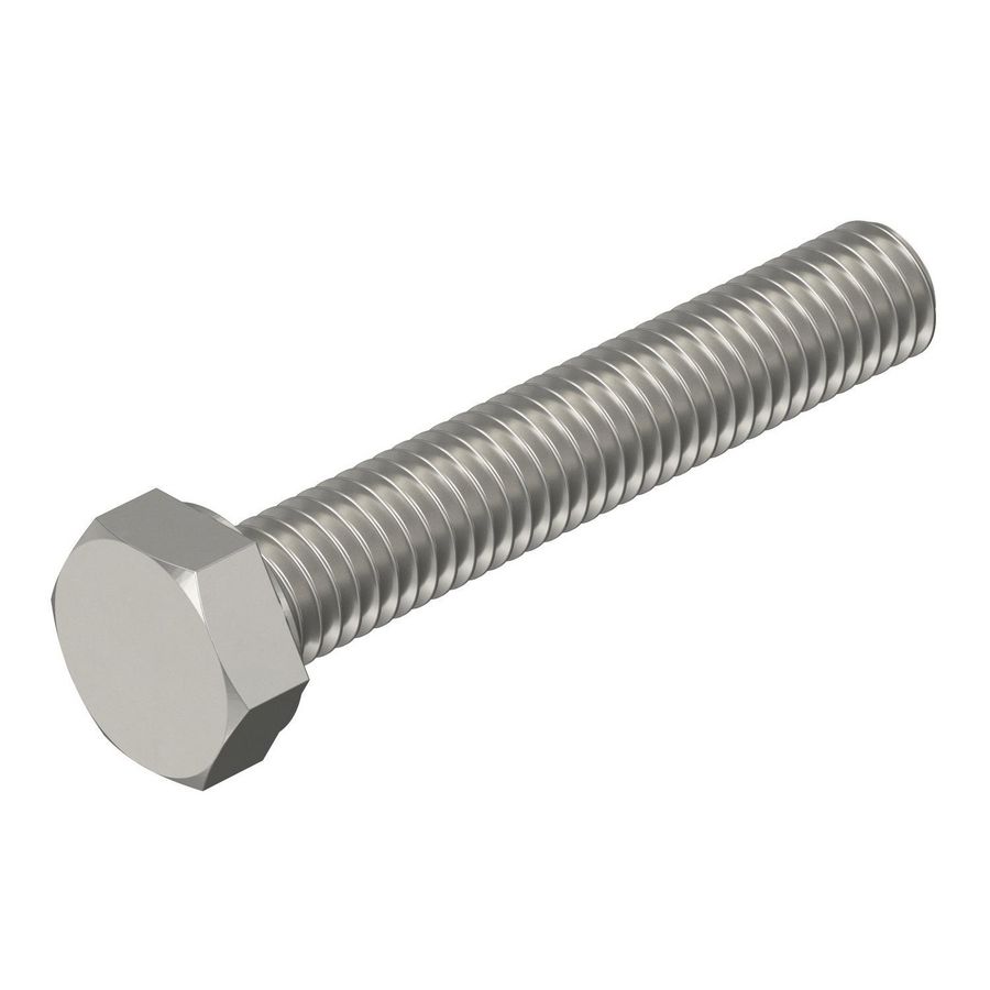 Hexagonal screw M10x60mm rvs blank, delt VVE=50