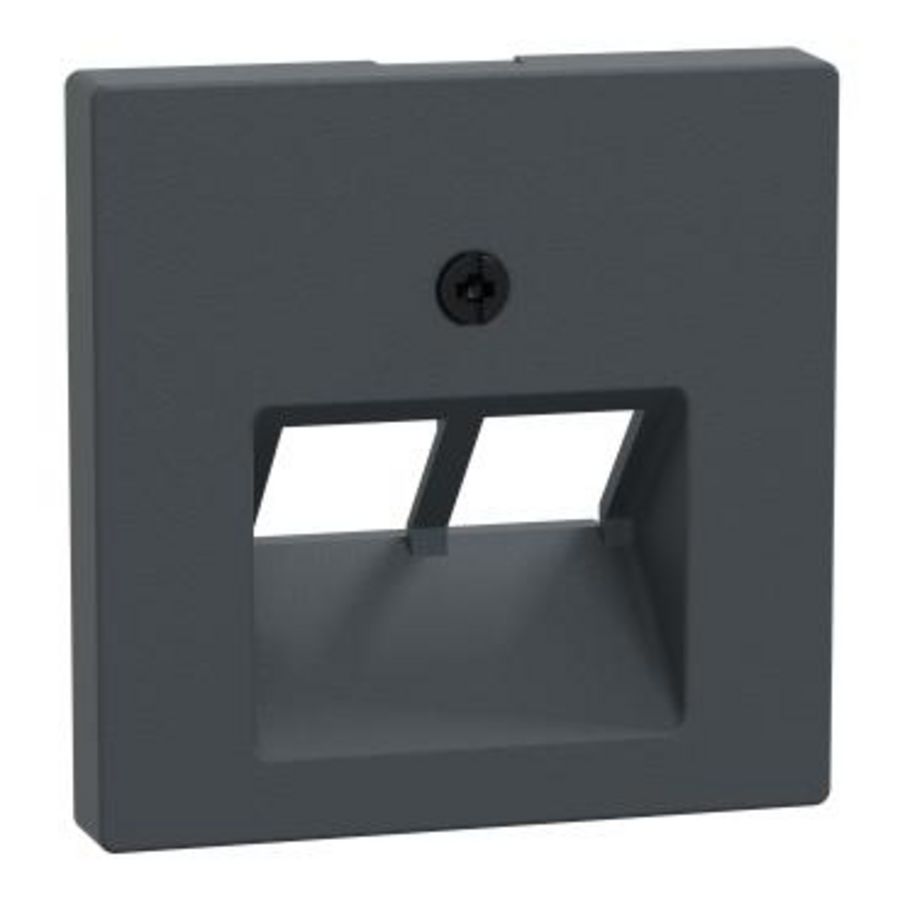 Centraalplaat UAE 2-voudig Antraciet Systeem M