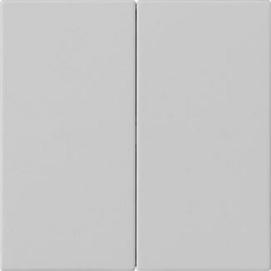 S3000 bedieningselement-opzetstuk 2-voudig System 55 grijs m