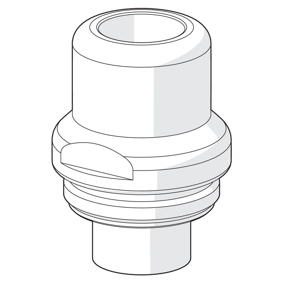 Spindellichaam