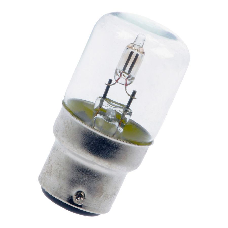 Neonlamp B22d T27X60 220V glas helder