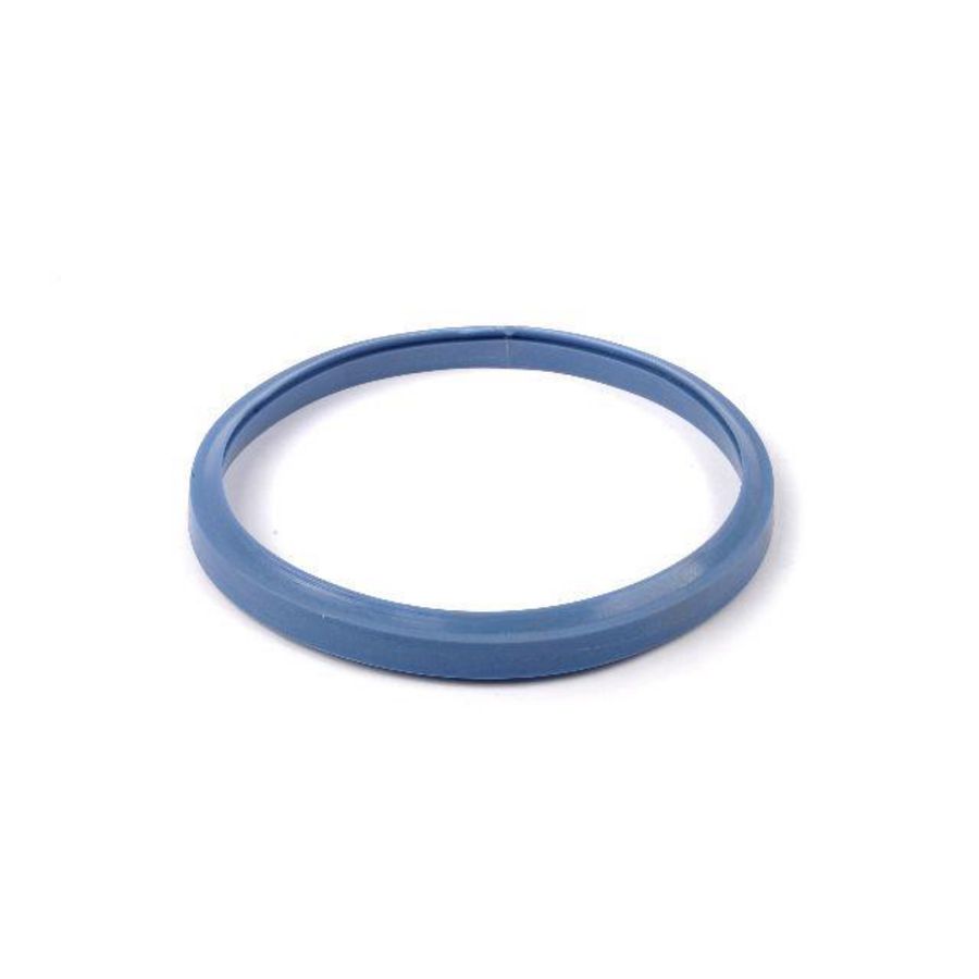 Pakking rookgasbuis/condensbak 11001556