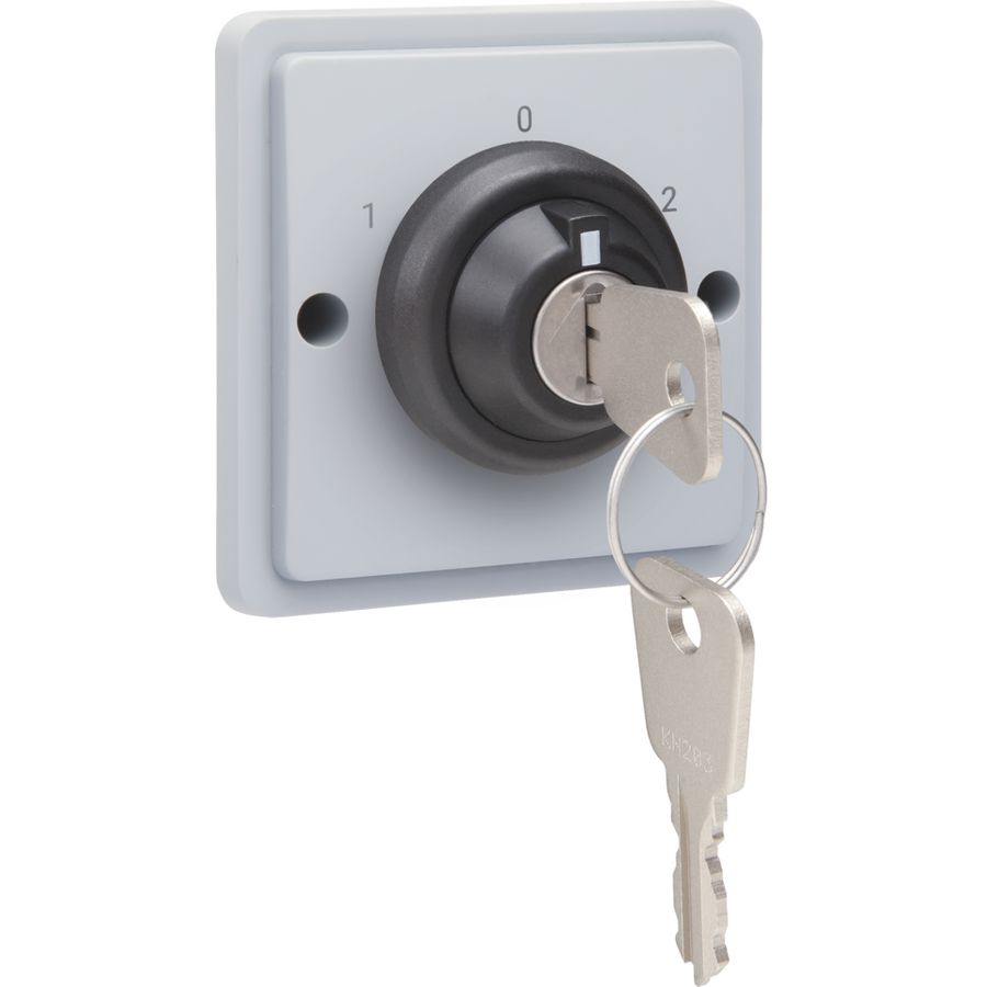 Spuitwaterdichte sleutelschakelaar 16 A met schroefklemmen