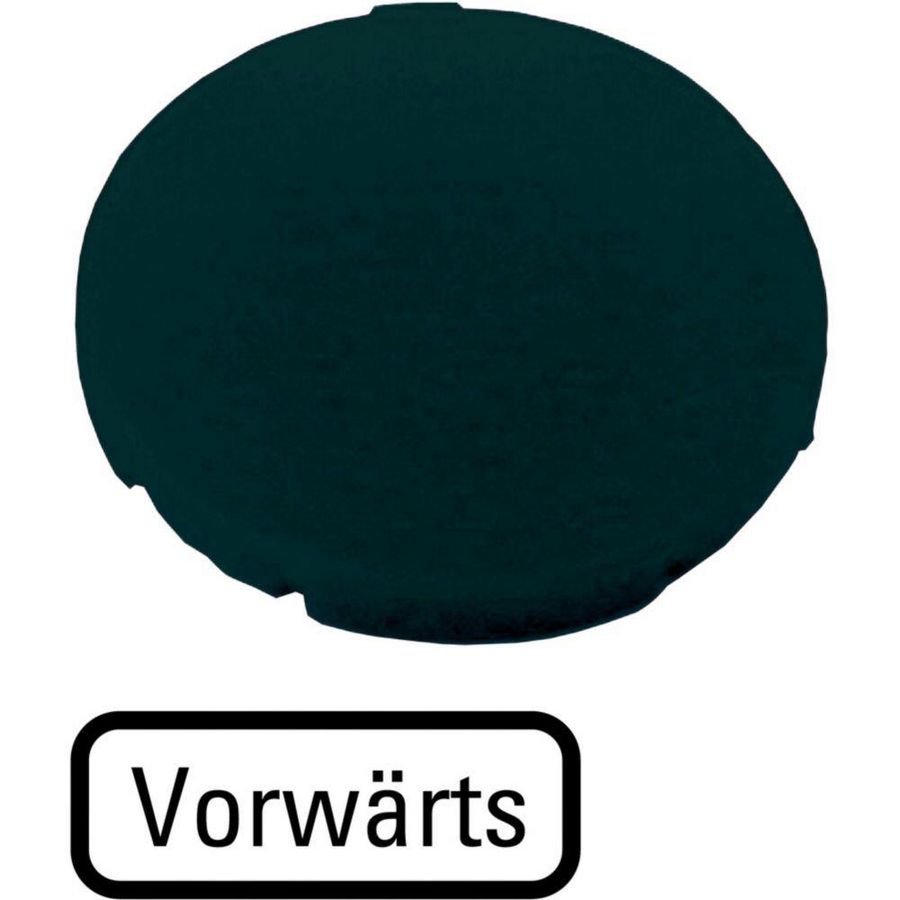 Indicatieplaatje vlak zwart "voorwaarts" VVE=10