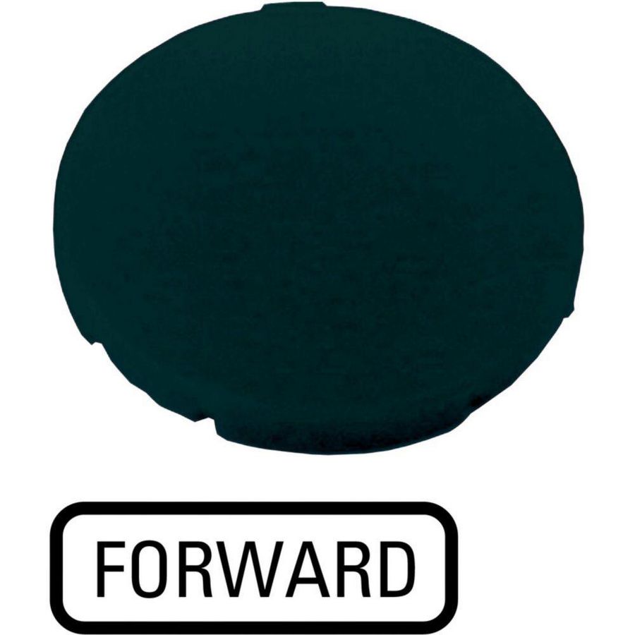 Indicatieplaatje vlak zwart "forward"
