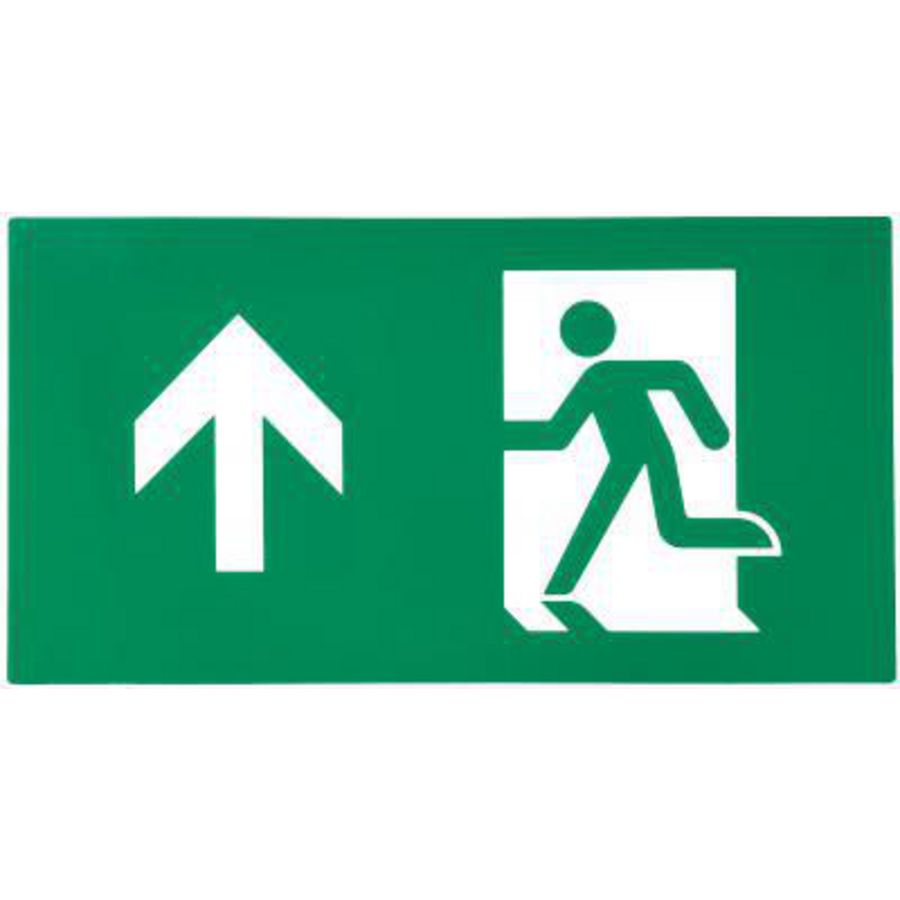 TEMPUS PICT.BOV 10487/88