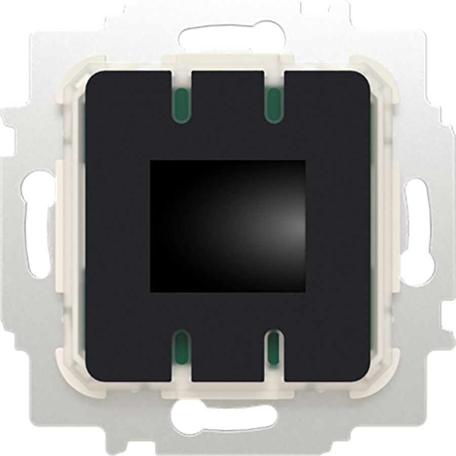 Ruimtethermostaat inb 230V AC BT