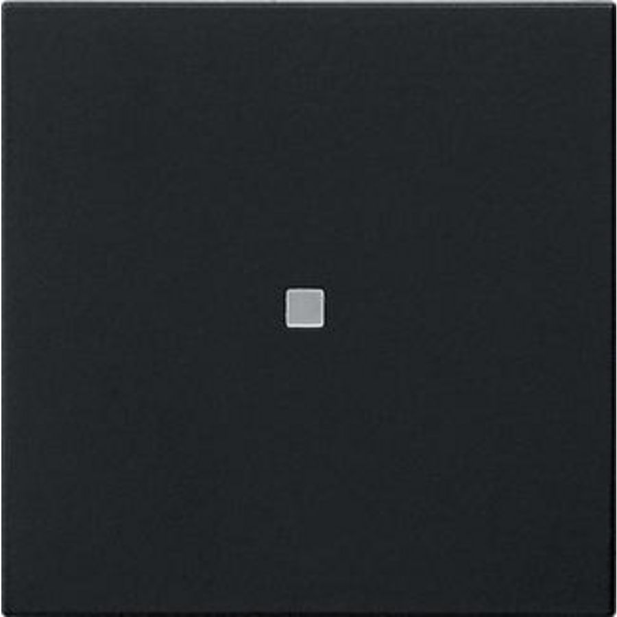 S3000 bedieningselement-opzetstuk BT System 55 zwart m