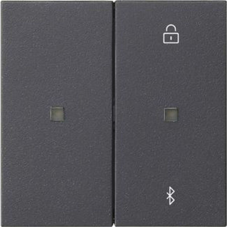 S3000 jl.-/schakelklok BT System 55 antraciet