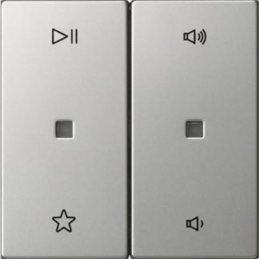 Wip 2-voudig audiobest. System 55 edelstaal